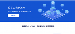 鲸吞企业微信scrm
