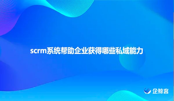 scrm系统帮助企业获得哪些私域能力