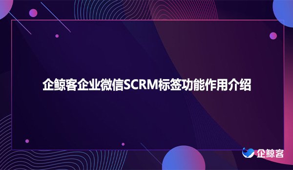 企鲸客企业微信SCRM标签功能作用介绍