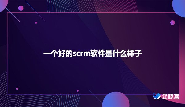 一个好的scrm软件是什么样子