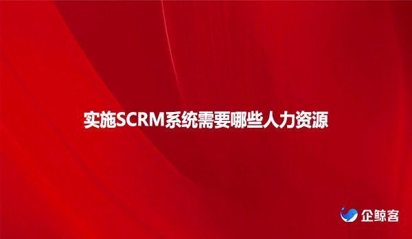 实施SCRM系统需要哪些人力资源