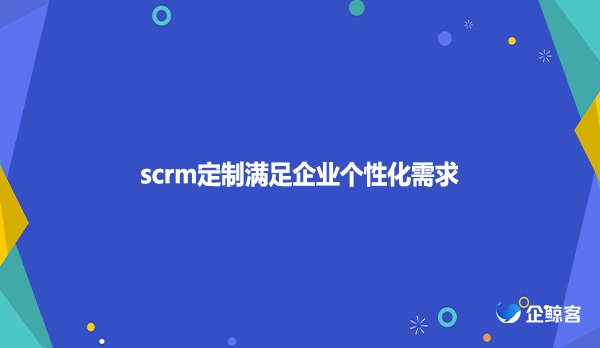 scrm定制满足企业个性化需求
