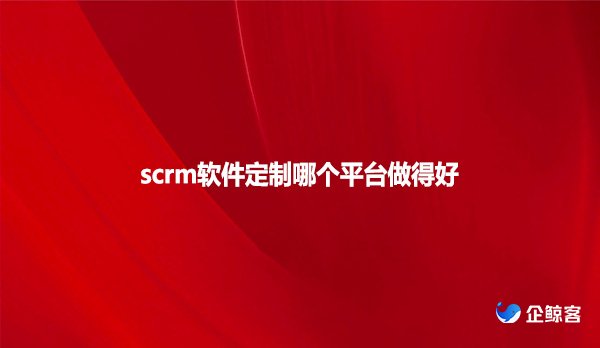 scrm软件定制哪个平台做得好