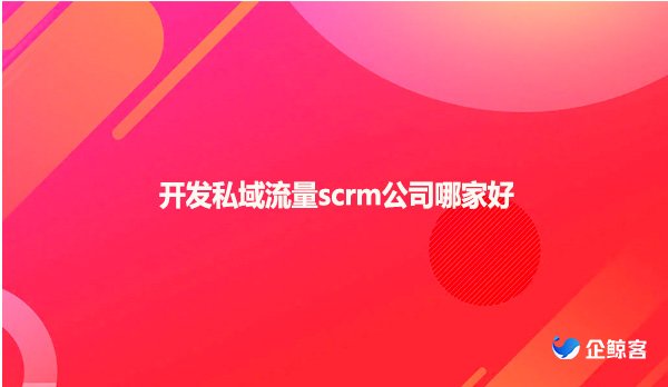 开发私域流量scrm公司哪家好