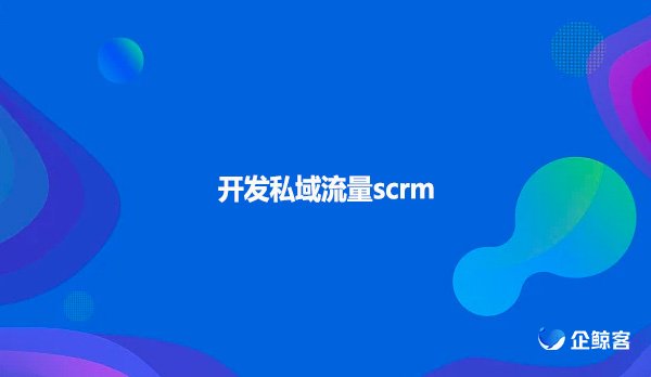 开发私域流量scrm