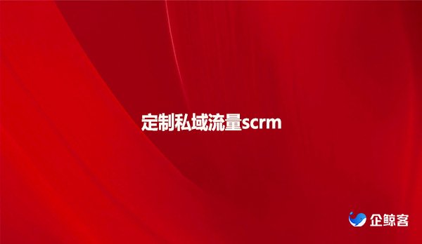 定制私域流量scrm