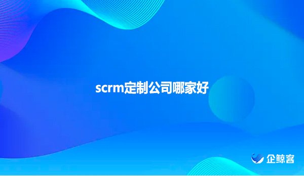 scrm定制公司哪家好