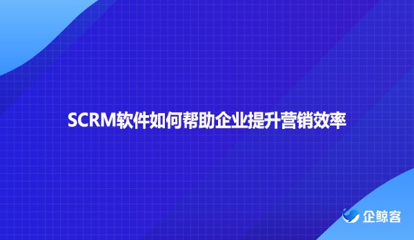 SCRM软件如何帮助企业提升营销效率